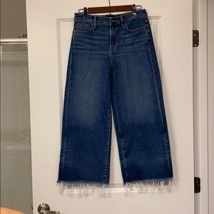 Banana Republic High Rise Wide Leg Jean